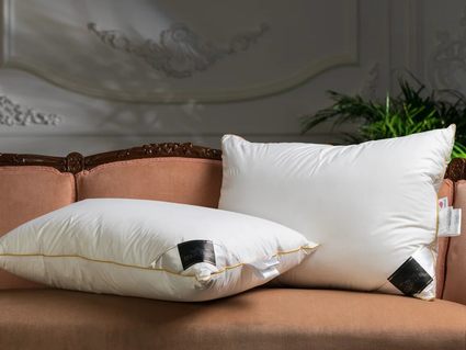 Подушка Trois Couronnes Clima Night Goose Down Pillow 92