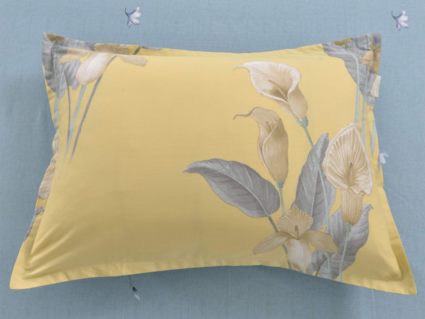 Комплект постельного белья Софи де Марко Беатриче Евро